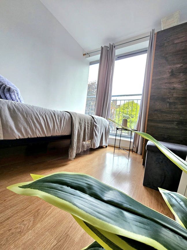 Bow/ Mile End single/ double bedroom available! Main Photo