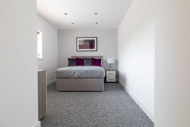 Ensuite  double room - Available now Main Photo