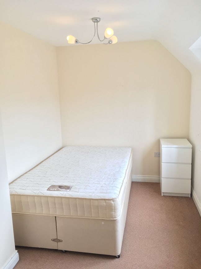 Double   bedroom  -  female houseshare  Main Photo