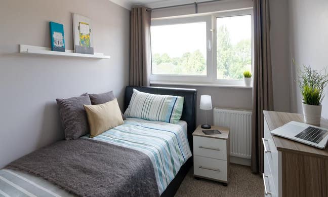 Comfortable single room for the spring! 🏠 Main Photo