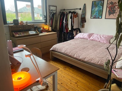 3-6 month sublet in a girly Withington houseshare Main Photo
