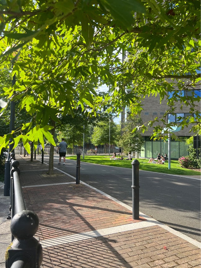 Double Bedroom Available in a 2-Bed Flat Main Photo