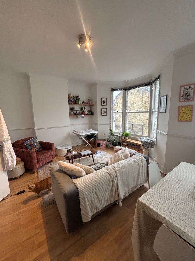 Lovely Newington Green Flat Main Photo