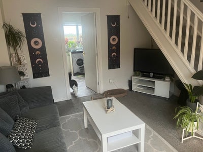 Room to Rent in Quiet House Main Photo