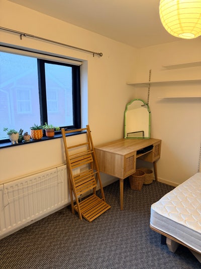 Furnished double room available - young female Main Photo
