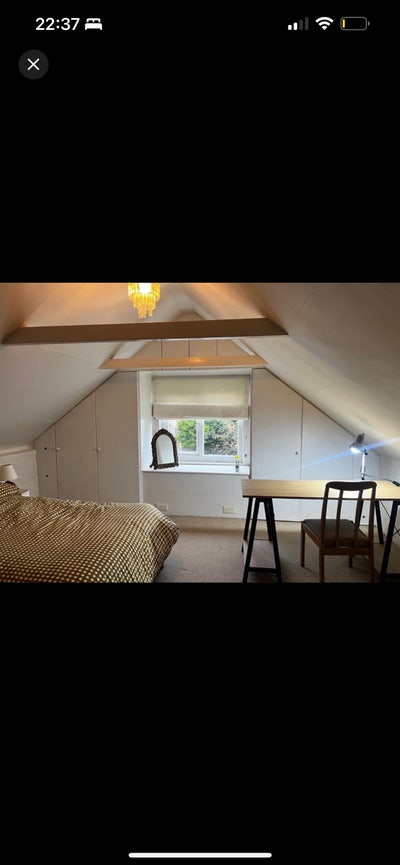 Female Please [Close to Station] Main Photo