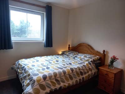 Double room + ensuite, Dennistoun - Available! 🍃 Main Photo