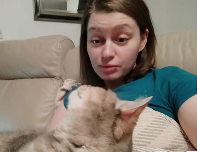 Long-term House & Pet Sitter Main Photo