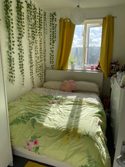 Flatmate  Main Photo