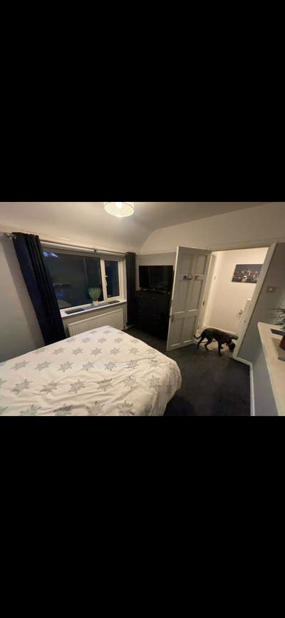 Double room Main Photo