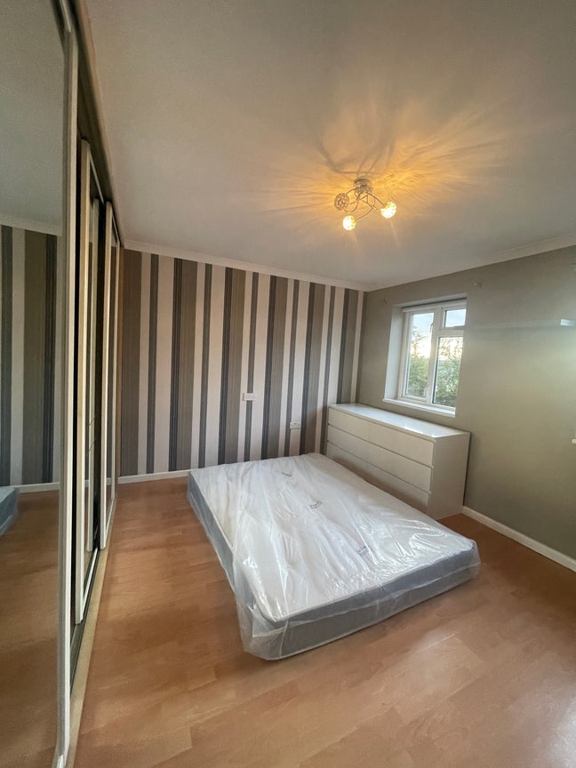 Spacious Room Available. Main Photo