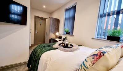 ✨ Stylish Ensuite Room in WN2 Available NOW.✨ Main Photo