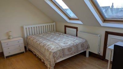 Bright Double Room in Quiet Boston Manor Cul-de-Sa Main Photo