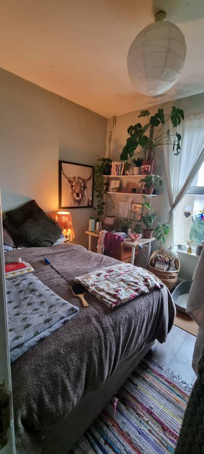 Room just off the buzzing Gloucester Rd Main Photo