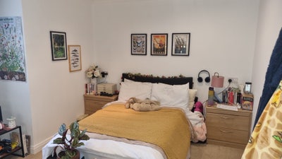 Double room available in 3-bed house in Birchgrove Main Photo