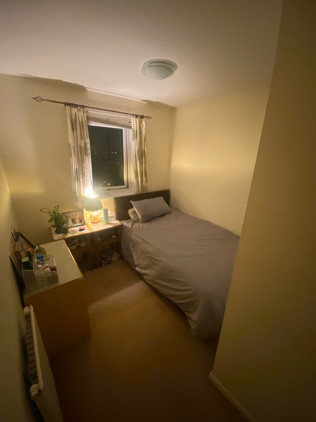 Room in central Edinburgh top floor flat Main Photo