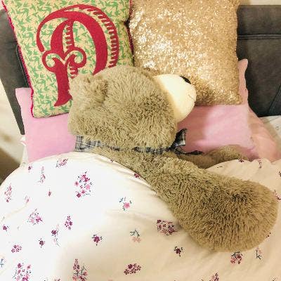 Looking To Rent A Studio Flat ONLY Main Photo