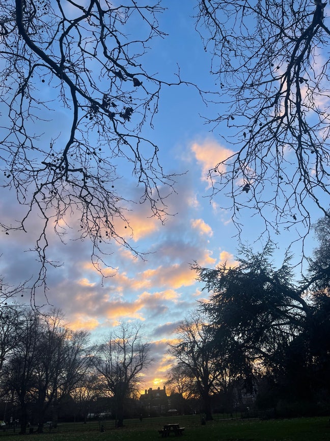 Cosy room in Camberwell - Oval 🏠 Main Photo