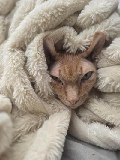 look for a room!  Main Photo