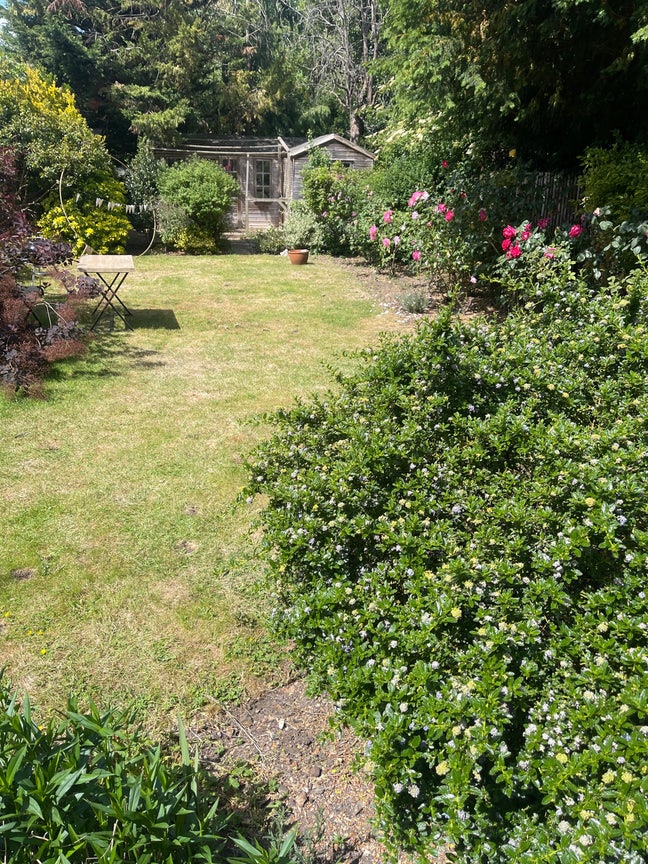 Room available in 1s week March next to station  Main Photo