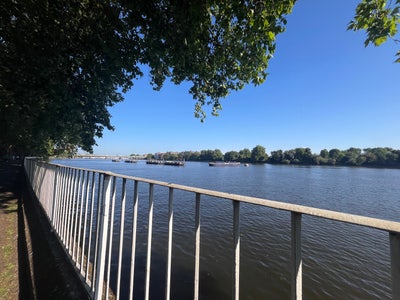 Spacious 1 Bed flat close to the River  Main Photo