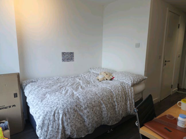 URGENT Luxury Student studio next to Spitalfields  Main Photo