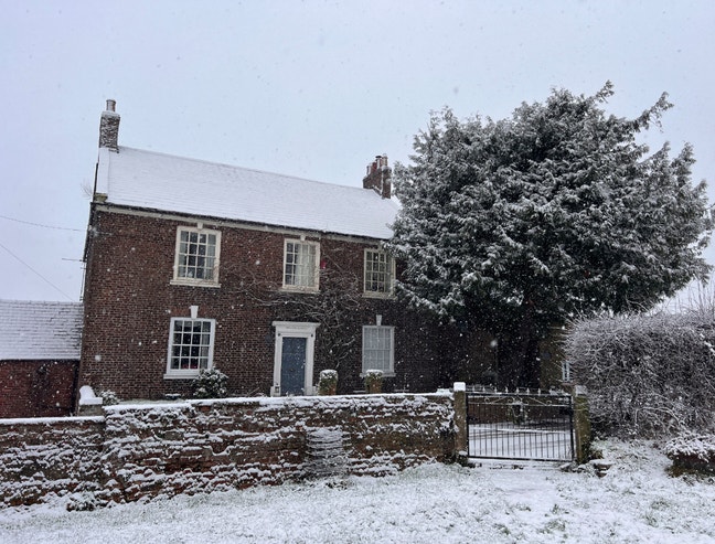 Working Professional/mature student-Pet friendly* Main Photo