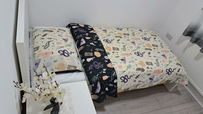 Stylish Single Room Available in Modern House Main Photo