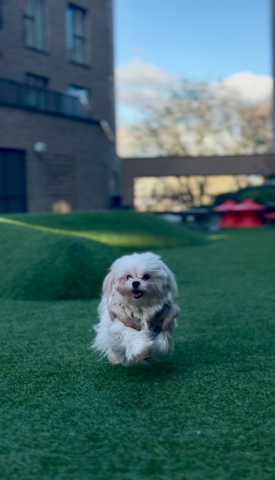 Amazing Double Room with Private Bathroom Main Photo