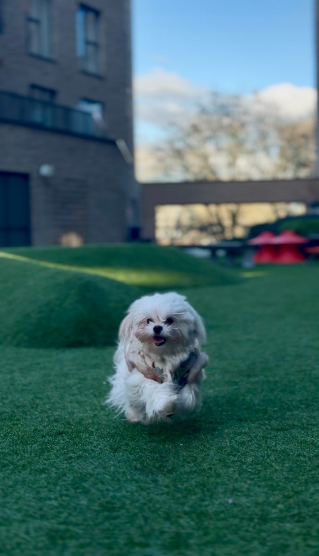 Amazing Double Room with Private Bathroom Main Photo