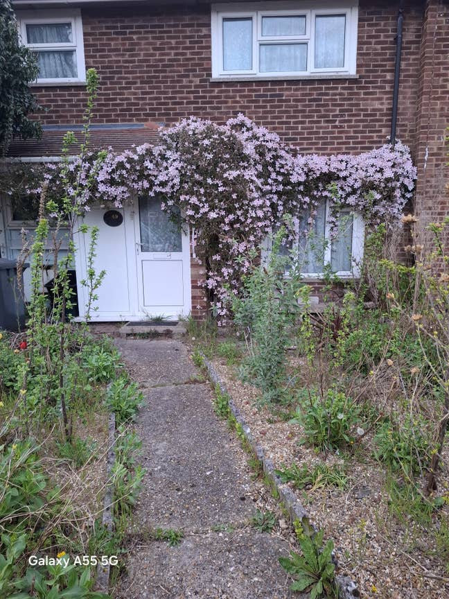 Seeking lodger  Main Photo