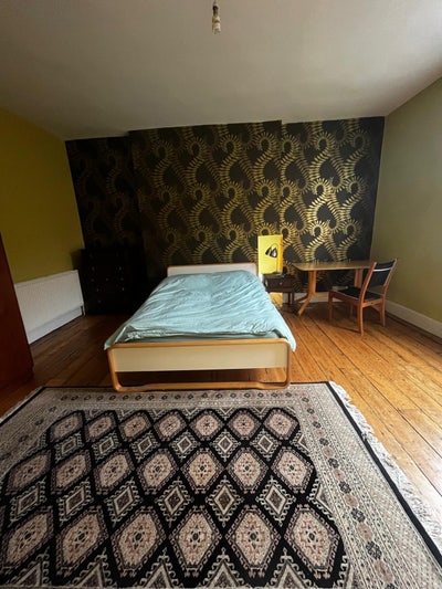 Lodger wanted - friendly family house - Montpelier Main Photo