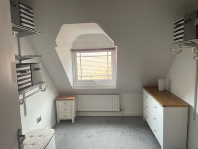 Single room available in calm friendly home  Main Photo