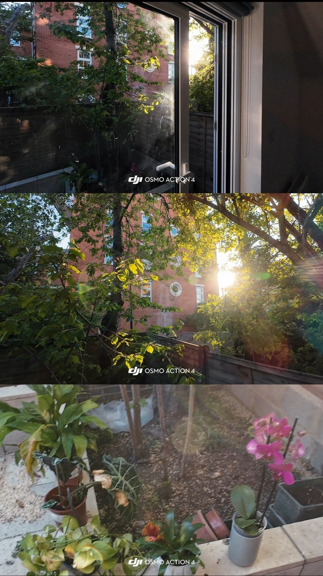 Feng Zhao Main Photo