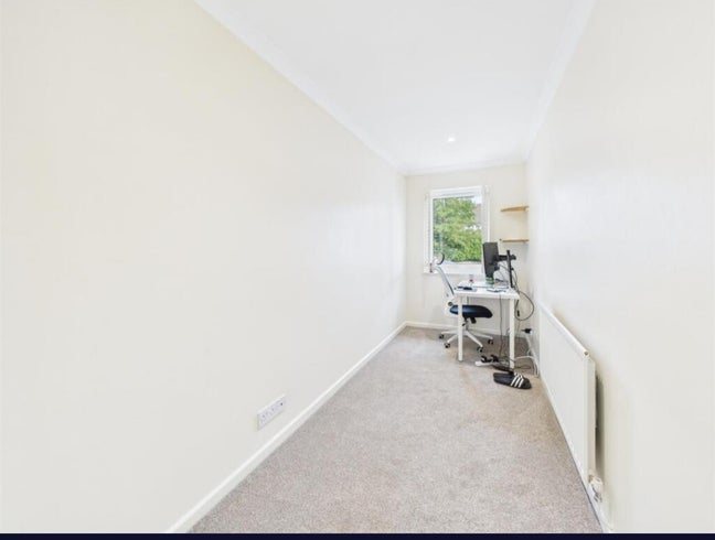 Spacious room for rent Main Photo