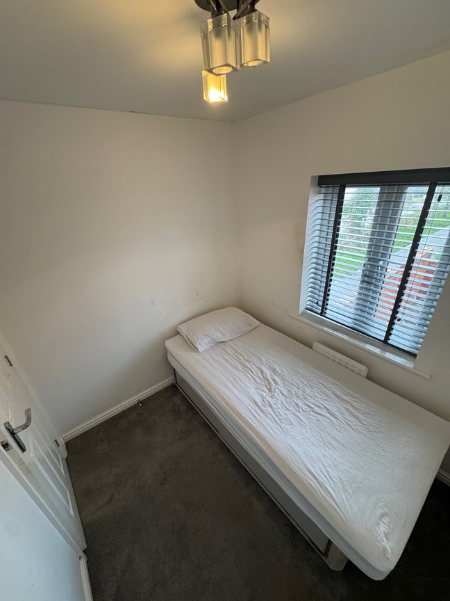 Single room for rent  Main Photo
