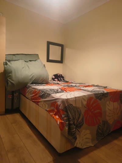 Male required as a replacement  Main Photo