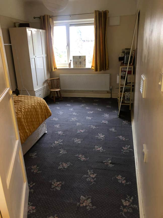 Double Room Available February 10th Main Photo