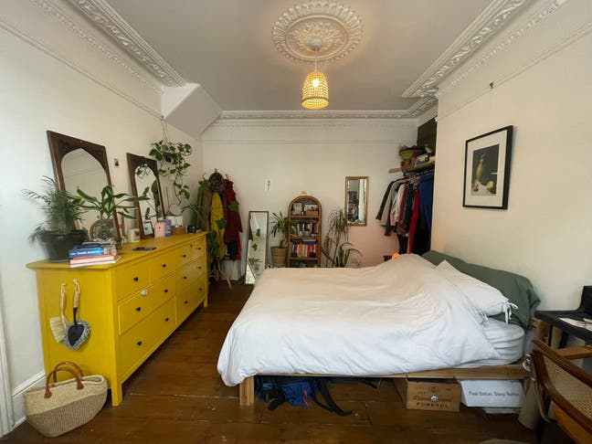 Double room available in a friendly, fun house Main Photo