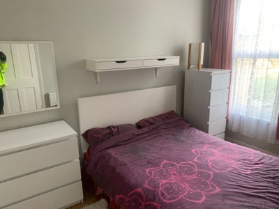 Double Rooms Available East London Main Photo
