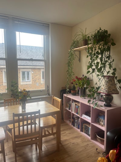 Lovely double room available in 2 bed flat Main Photo