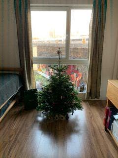 Special price-single room in London Bridge  Main Photo