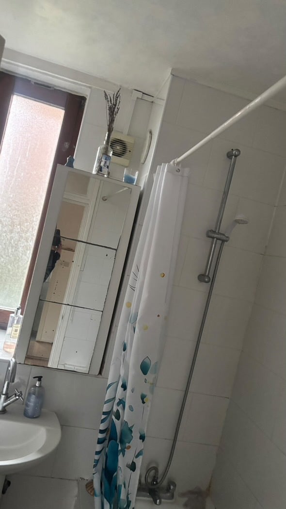 Room available in ground floor flat - Clapton Main Photo