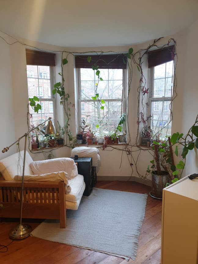 Art and Plant Filled Flat Available for 5 months Main Photo
