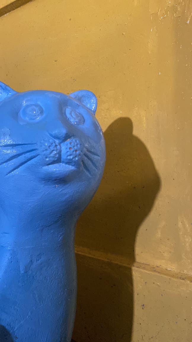 Lovely en-suite double room 5 mins from Totnes  Main Photo