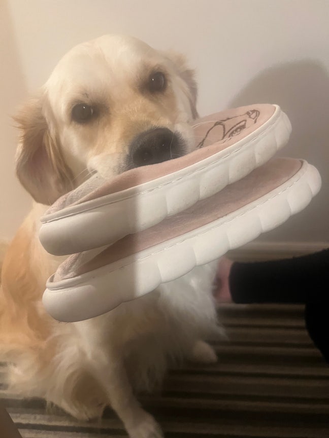 Double Bedroom in Popular Area  Main Photo