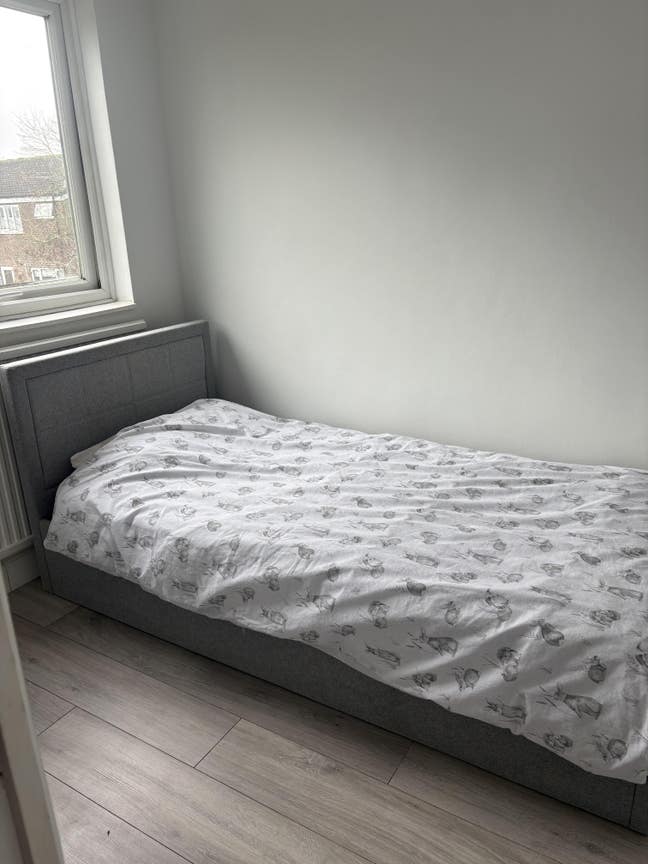 Single bedroom to rent Main Photo