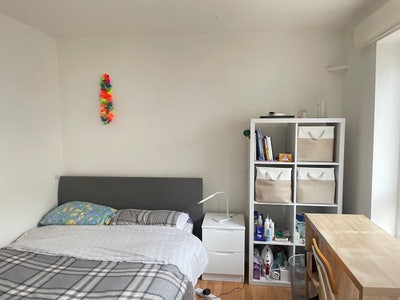 Bright Double Room for Let  Main Photo