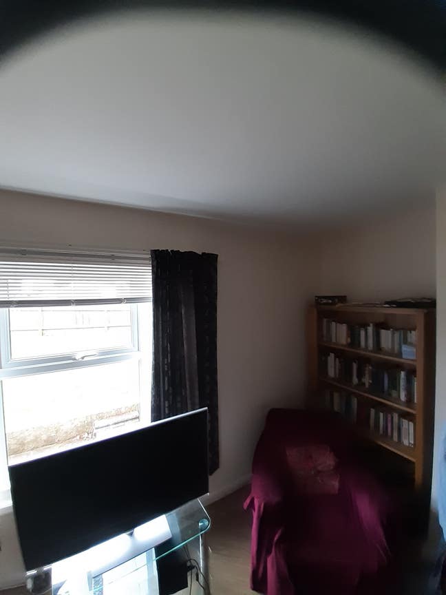 Lodger needed Main Photo