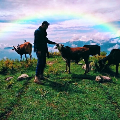 Student Male seeks a single or double room Main Photo